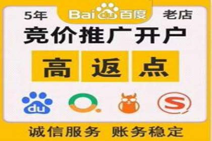 百度广告推广案例解析